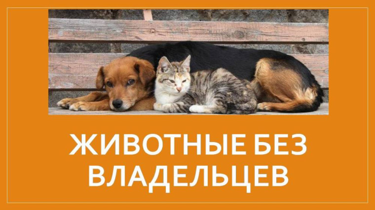 Голосование на сайте "Активный граждан". Голосование на сайте "Активный граждан".